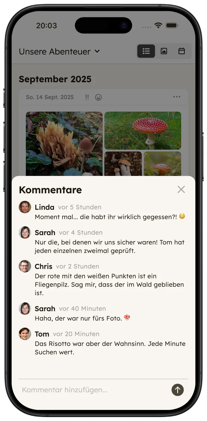 Gemeinsame Sammlungen Screenshot